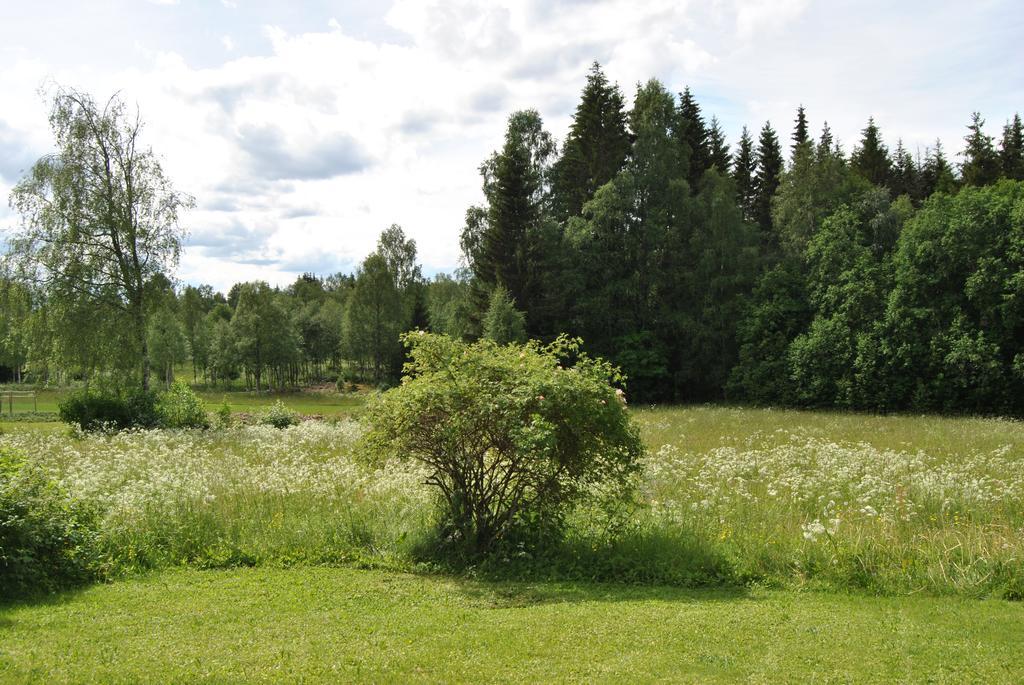 Orsastuguthyrning-Oljonsbyn Villa Kültér fotó