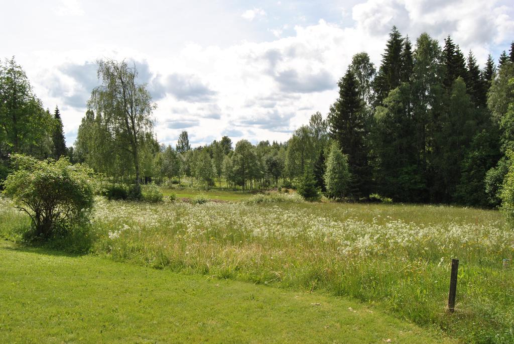 Orsastuguthyrning-Oljonsbyn Villa Kültér fotó